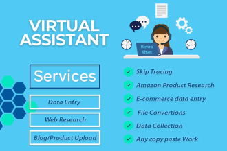 Professional virtual assistant